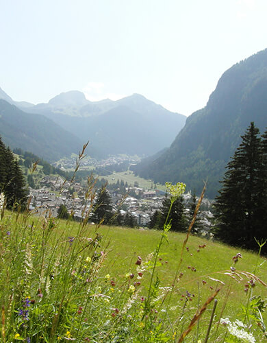 - 4 Garnì Campitello di Fassa - 1 B&B Campitello di Fassa